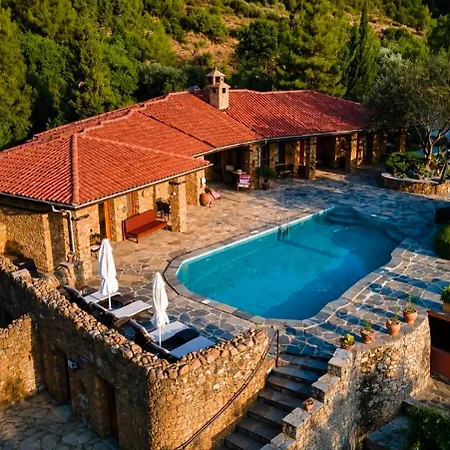 Montenegro Stone