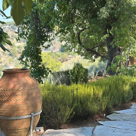 Villa Montenegro Stone *