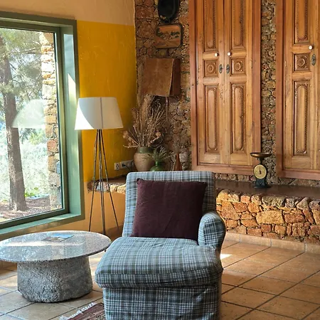 Montenegro Stone