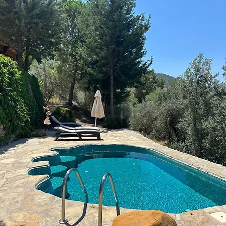 Villa Montenegro Stone Fethiye